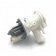 Сливной насос помпа для стиральных машин Bosch Siemens 141326 - 142154 - 141321 в сборе Сливной насос помпа для стиральных машин Bosch Siemens 141326 - 142154 - 141321 в сборе